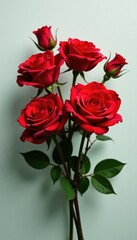 Fototapeta premium A bouquet of red roses with some stems bent in half, red, floral, roses