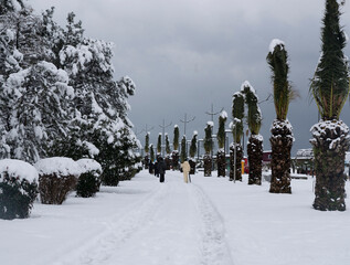 BATUMI, GEORGIA - February 19: a city in the snow