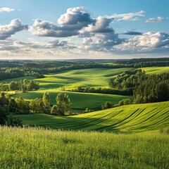 Fototapeta premium Beautiful summer landscape with green colors. Nature in the vicinity of Pruzhany, Brest region,Belarus.