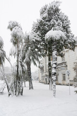 BATUMI, GEORGIA - February 19: snow in the city