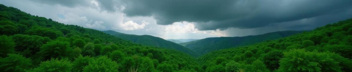 Fototapeta premium A black cloud casts a shadow over a lush green forest, weather, lush