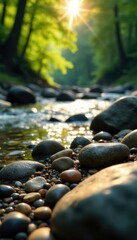 Obraz premium River rocks and pebbles in the foreground with sunlight, natural scenery, photographable scene, trees