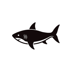 shark vector illustration