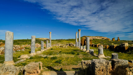  l'area,archeologica di Thuburbo Majus con i resti dell'antica città Romana,Pont du Fahs,Tunisia