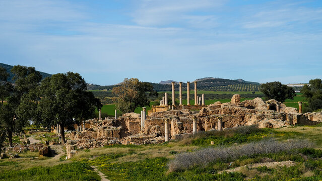  l'area,archeologica di Thuburbo Majus con i resti dell'antica citt&agrave; Romana,Pont du Fahs,Tunisia