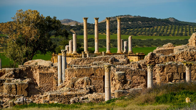  l'area,archeologica di Thuburbo Majus con i resti dell'antica citt&agrave; Romana,Pont du Fahs,Tunisia
