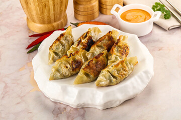 Japanese fried Gyoza stuffed dumplings