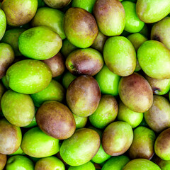 Food background of Fresh Harvested Green Olive for olive oil production pattern texture. Raw fruit for olive oil. Green backdrop of autumn season olive crop