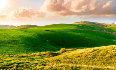 countryside green field during sunrise of sunset in warm light. beautiful spring landscape in the...