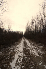 snowy dirt road