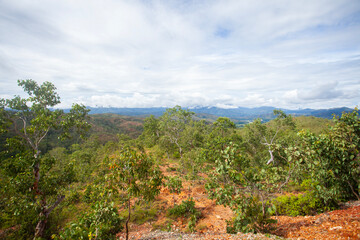 A view of the rural landscape in Aileu Regency, Timor Leste, a forest with endemic vegetation.