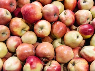 Fresh red and yellow apples arranged in abundance for sale at a local market