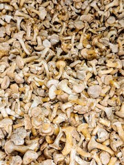 Freshly harvested wild mushrooms displayed in a market stall in late autumn