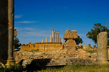 l'area,archeologica di Thuburbo Majus con i resti dell'antica città Romana,Pont du Fahs,Tunisia