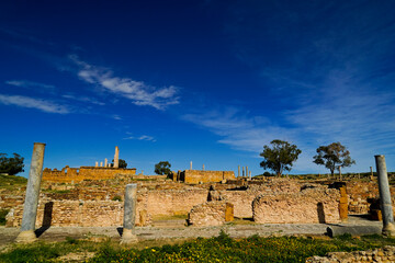 l'area,archeologica di Thuburbo Majus con i resti dell'antica città Romana,Pont du Fahs,Tunisia