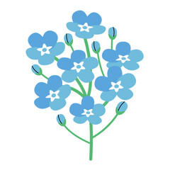 Blue wildflower, forget-me-not clip art
