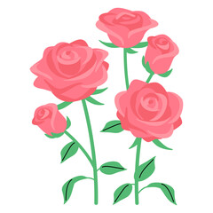 Pink rose flower clip art