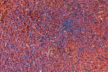 Full Frame Close-Up of Wet Sawdust Wood Texture, Natural Rustic Background for Design and Craft...