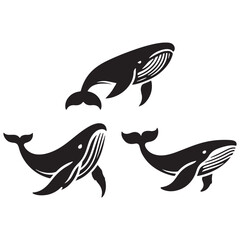 Giant Blue Whale silhouette, showcasing the sea’s largest mammal - Blue Whale illustration - Minimalist Blue Whale vector - Fish silhouette
