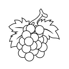 Fototapeta premium grape coloring page