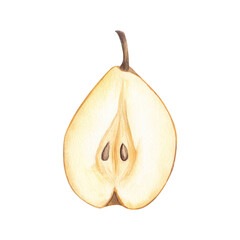 Pear watercolor illustration isolated. Hand painted yellow, juicy, ripe pear cut in half with seeds, pips, pits. Sweet organic vegetarian fruit.