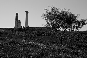 L'area archeologica di Uthina con l'imponente anfiteatro e i resti dell'antica città Romana,...