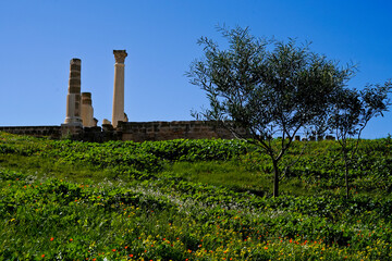 L'area archeologica di Uthina con l'imponente anfiteatro e i resti dell'antica città Romana,...