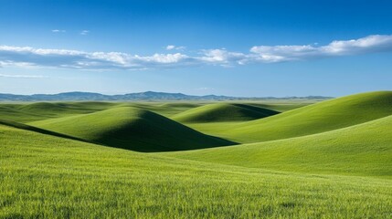 Obraz premium Vast Green Field Rolling Hills Scenic Landscape