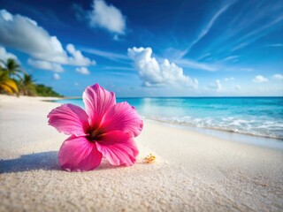 Fototapeta premium Pink Hibiscus: a tropical paradise awaits; white sands, idyllic escape.