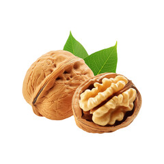 Walnut with leaf on transparent background