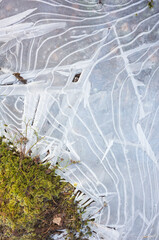 Frozen puddle with intricate ice patterns alongside vibrant green moss in a Swedish forest. A...