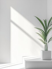 minimalistic studio background