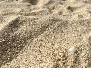 Natural sea sand texture, sea sand background