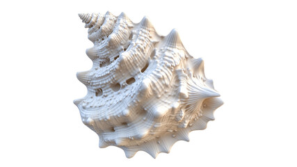 Fototapeta premium Detailed spiral shell displayed in bright light