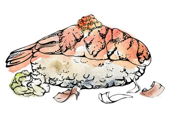 Traditional Japanese food, nigiri sushi raw fish tuna salmon shrimp, caviar topping, wasabi, unagi flakes, hand drawn in watercolor, ink. Illustration for restaurant, cafe menu, kitchen, recipe book