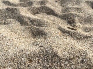 Natural sea sand texture, sea sand background