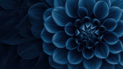 Close-up of a stunning blue dahlia flower