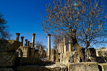 L'area archeologica di Mactaris,con i resti dell'antica città Romana,Makthar , Tunisia