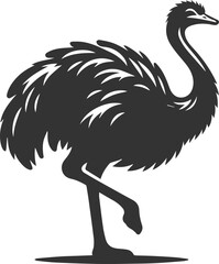 Ostrich standing on one leg, head slightly tilted animal vector silhouette