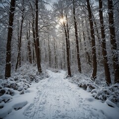 snow covered trees