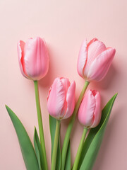 Fototapeta premium Tulips In Soft Pastel Colors Add A Touch Of Springtime Charm To This Holiday Greeting Card Design Mockup. 00002