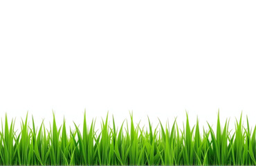 Fototapeta premium The Green Grass Border Is Surrounded By A White Background With The Horizon Of The Green Lawn In View. 00002