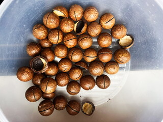 Close-up of cracked macadamia nuts collected in a plastic container