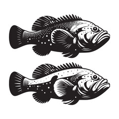 Minimalist Goliath Grouper silhouette, simple yet powerful marine design - Goliath Grouper illustration - Minimalist Goliath Grouper vector - Fish silhouette
