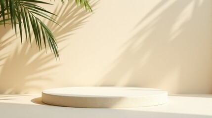 Fototapeta premium A serene minimalist display featuring a circular platform bathed in sunlight, accentuated by the delicate shadow of a tropical leaf.
