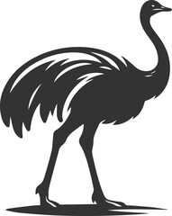Obraz premium Ostrich standing and looking somethings animal vector silhouette