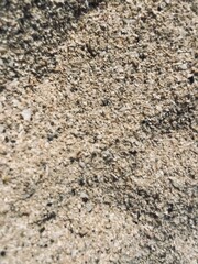 Natural sea sand texture, sea sand background