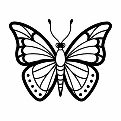 butterfly on white background