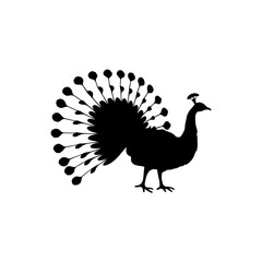 Black Peacock  silhouette vector illustration on white background