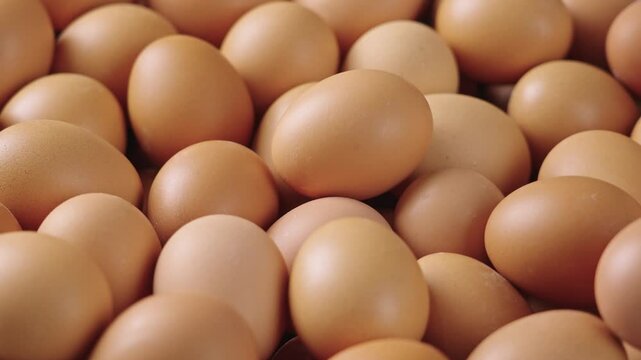  closeup of raw chicken eggs background